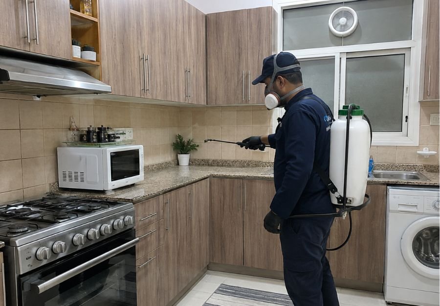 شركة مكافحة حشرات في العين