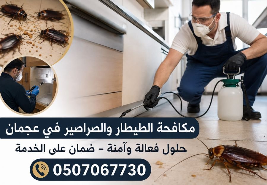 شركة مكافحة الطيطار في عجمان