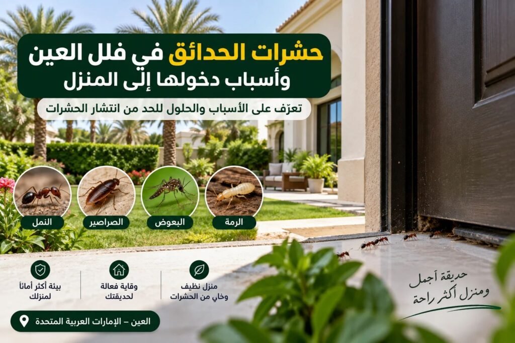 حشرات الحدائق فلل عجمان